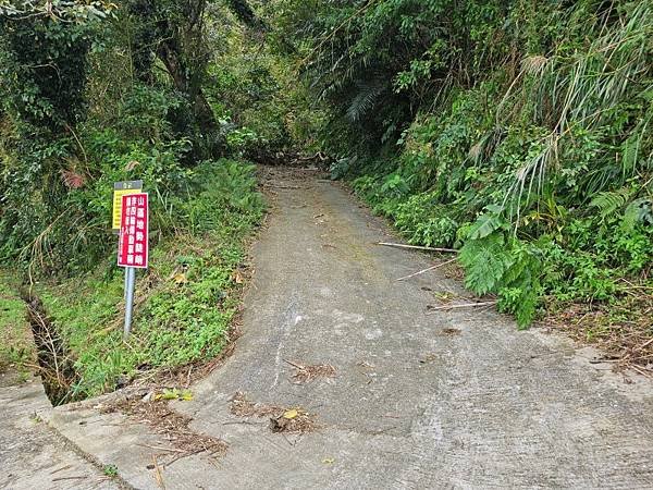 2024-11-10阿姆坪山、三民蝙蝠洞(1408)