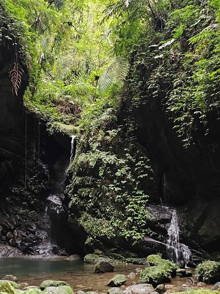 2024-11-10阿姆坪山、三民蝙蝠洞(1408)