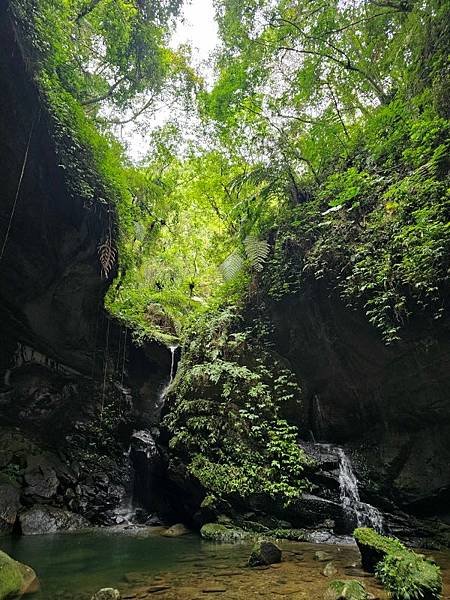 2024-11-10阿姆坪山、三民蝙蝠洞(1408)