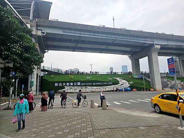 2024-12-22新北大都會公園、鴨鴨公園