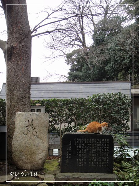 DSC00337.JPG