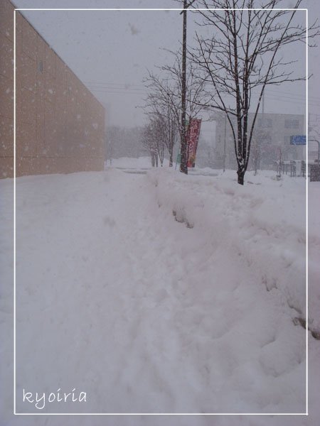 宮之澤地鐵站外積雪...路在哪呀!?