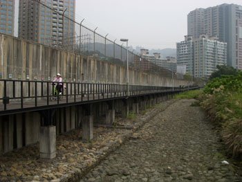 紅樹林步道