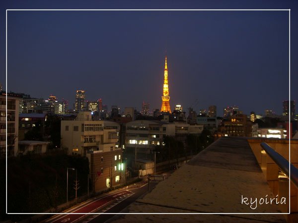 看的到東京鐵塔