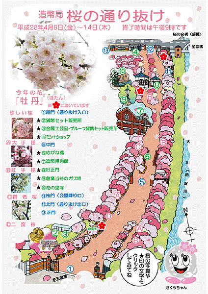 sakura_map2016.gif