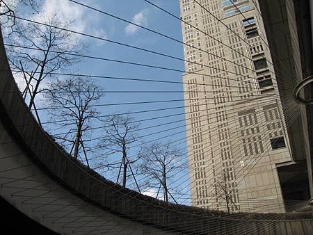 IMG_1653.JPG
