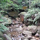 食養山房-溪水