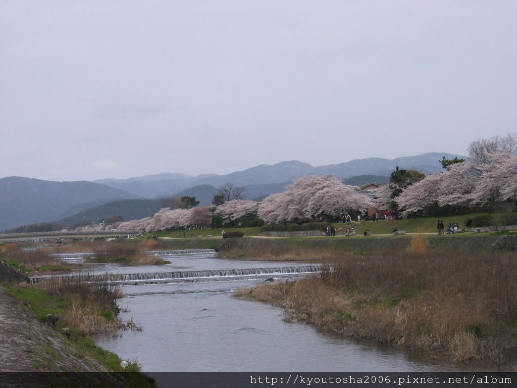 賀茂川7.jpg