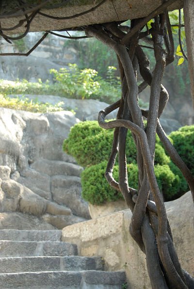 廈門行~鼓浪嶼0301.JPG