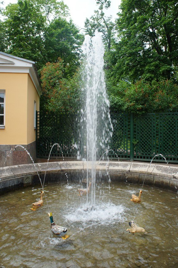 DSC04852.jpg