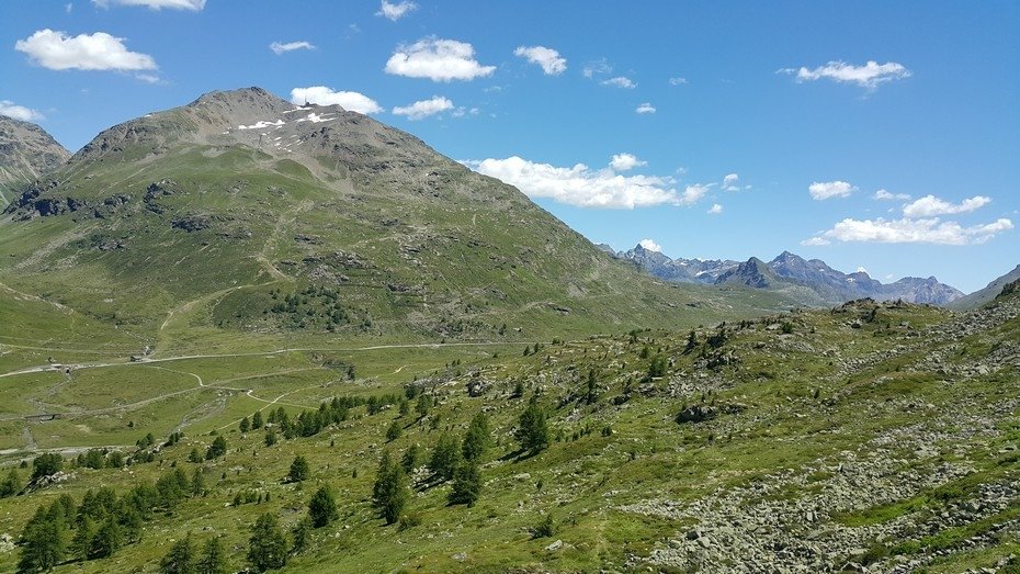 20160719_135110.jpg