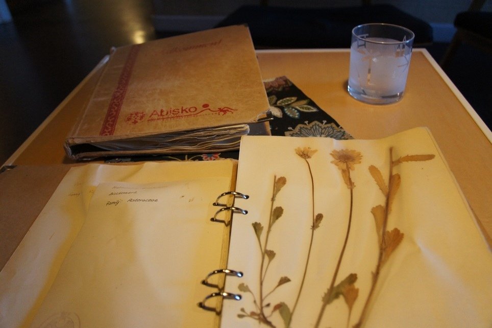 DSC04524.jpg