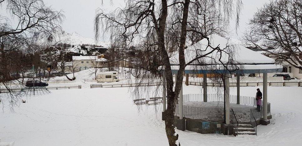 20190126_125100.jpg
