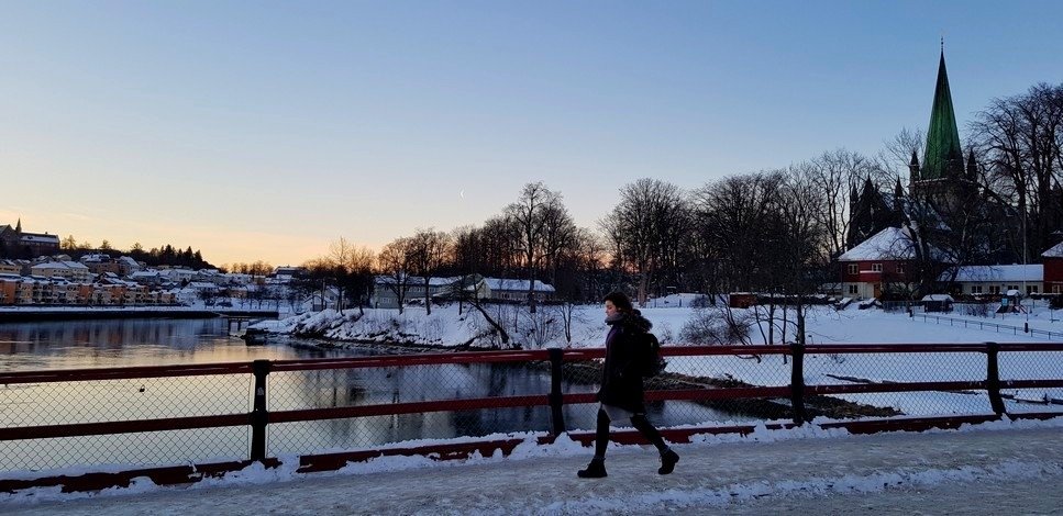 20190129_091843.jpg