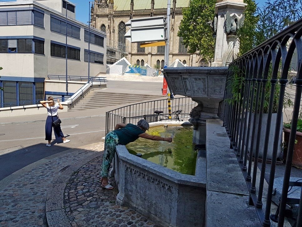 20190802_133521.jpg