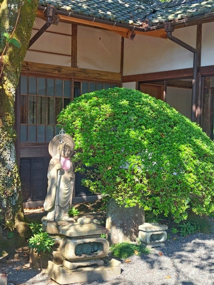 2023秋季靜岡 Day 6 單車(X) 伊豆修善寺