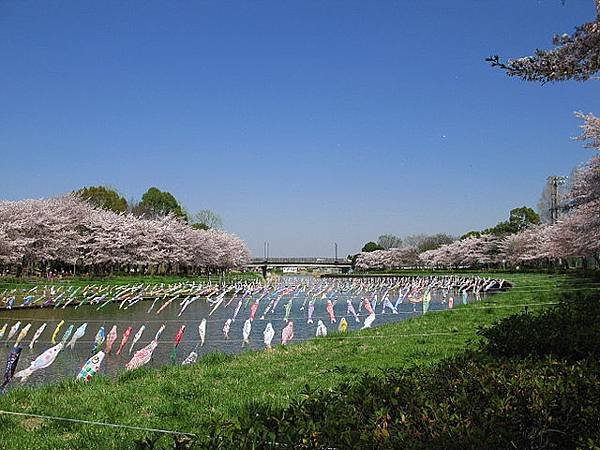 640px-Tatebayashi_Tsuruuda_River_1