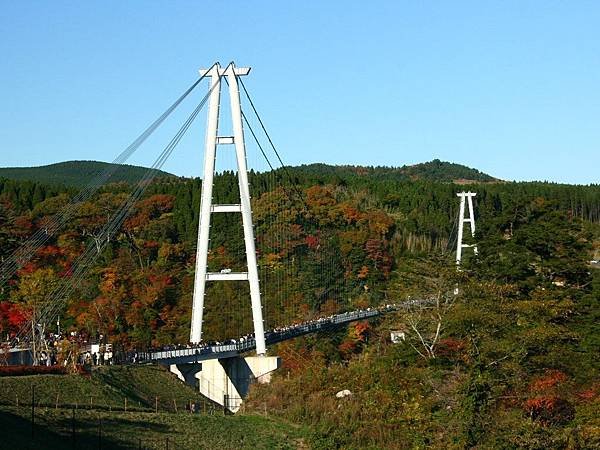 水鄉三島市  三嶋大社  御殿川  三島大吊橋