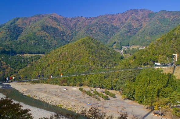 水鄉三島市  三嶋大社  御殿川  三島大吊橋