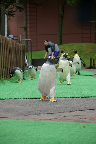 登別尼克斯海洋公園