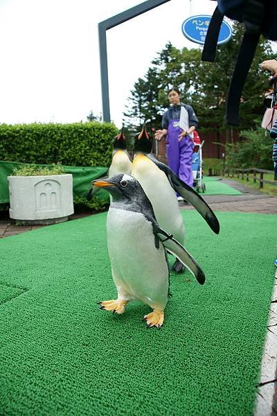 登別尼克斯海洋公園