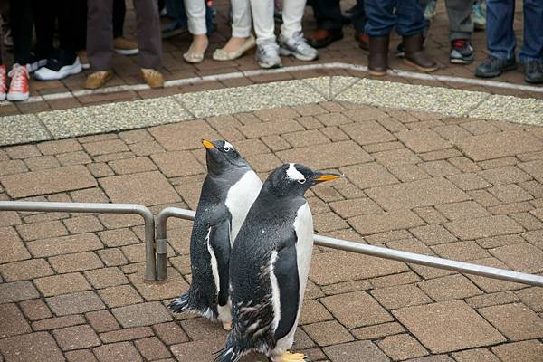 登別尼克斯海洋公園