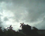 IMG0010A.jpg