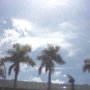 IMG0119A.jpg