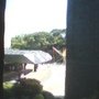 IMG0141A.jpg