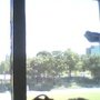 IMG0135A.jpg
