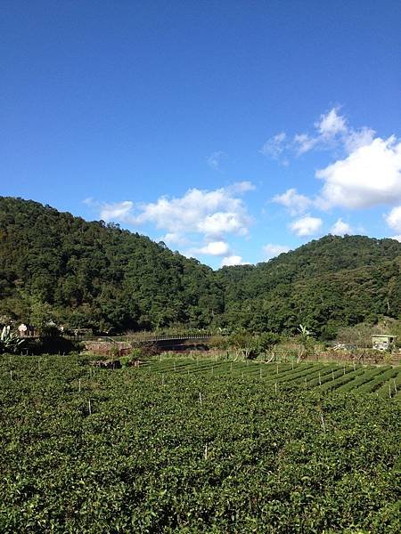 20141123_055031380_iOS.jpg