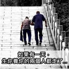 「孝順不能等」的圖片搜尋結果