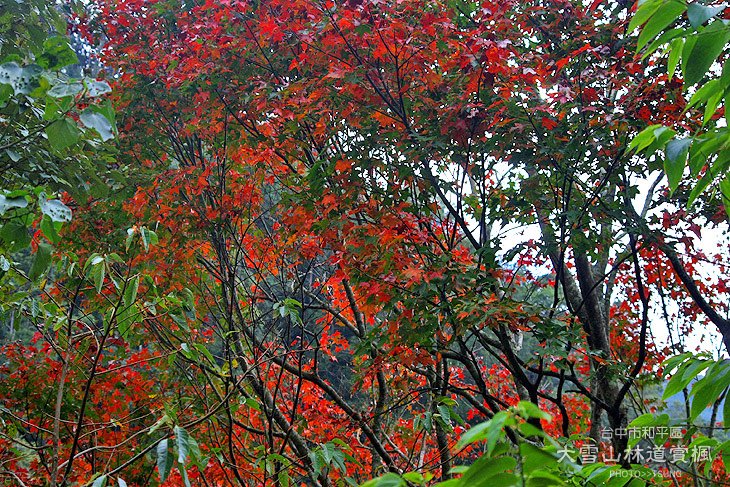 IMGP0541