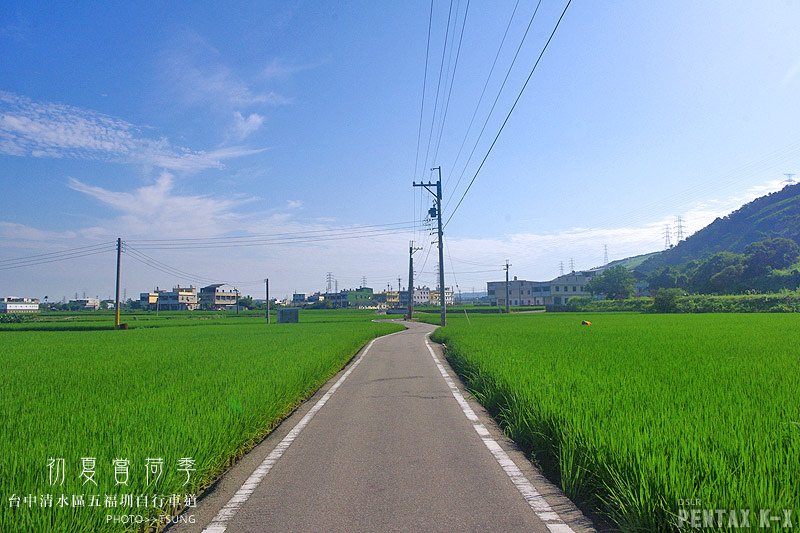 2014初夏賞荷花私房景點.秘境