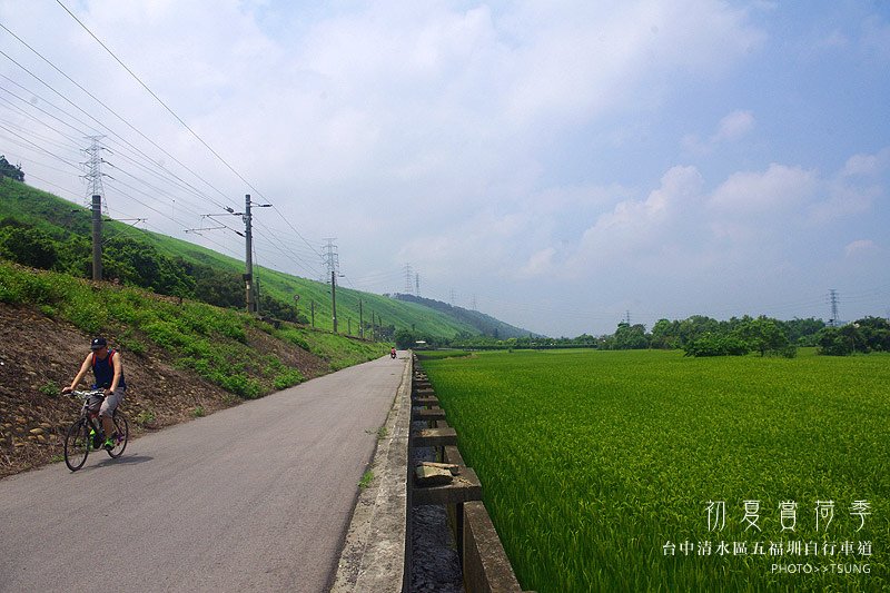 2014初夏賞荷花私房景點.秘境