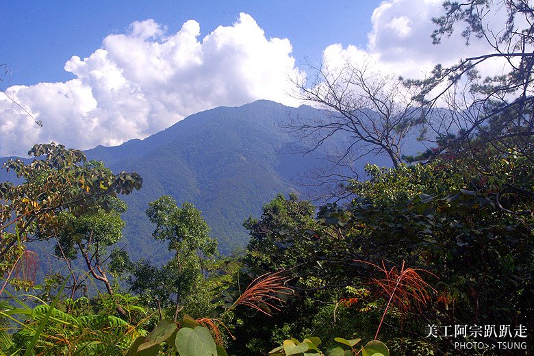 唐麻丹山