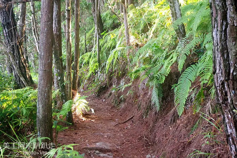 馬崙山