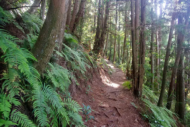 馬崙山