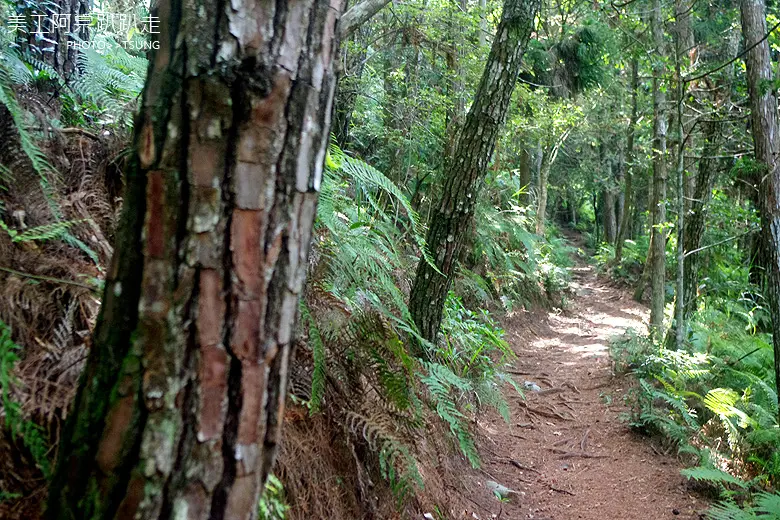 馬崙山