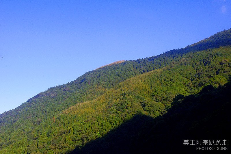 大雪山國家森林遊樂區