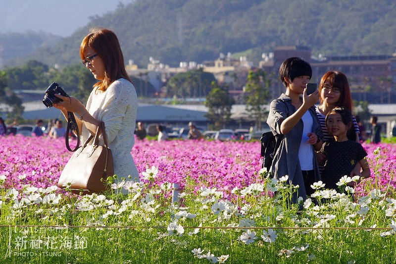 新社花海節