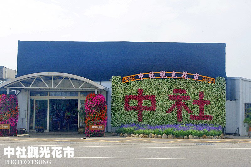 中社觀光花市