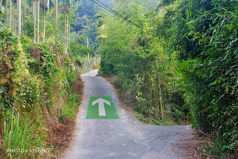 唐麻丹山