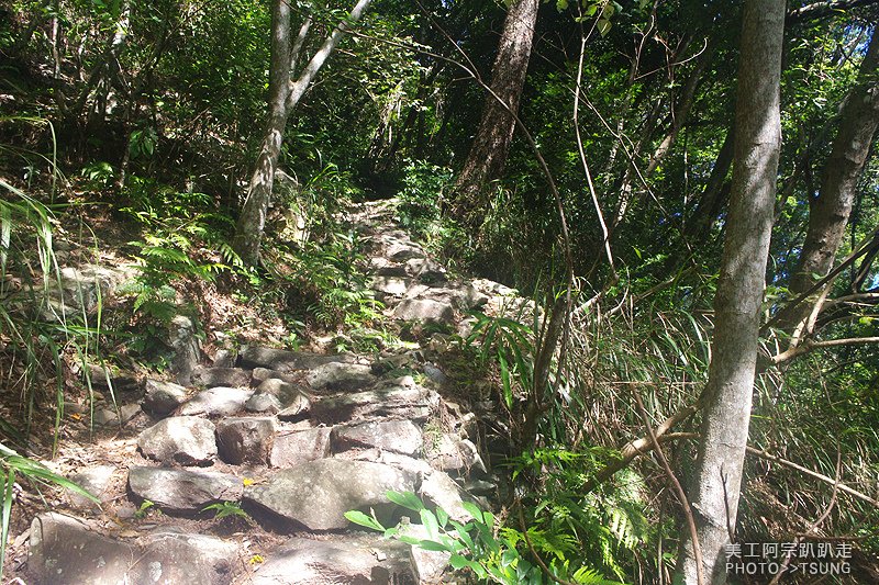 谷關八仙山