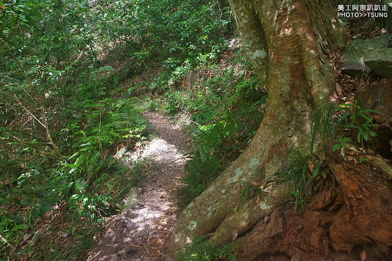 谷關八仙山