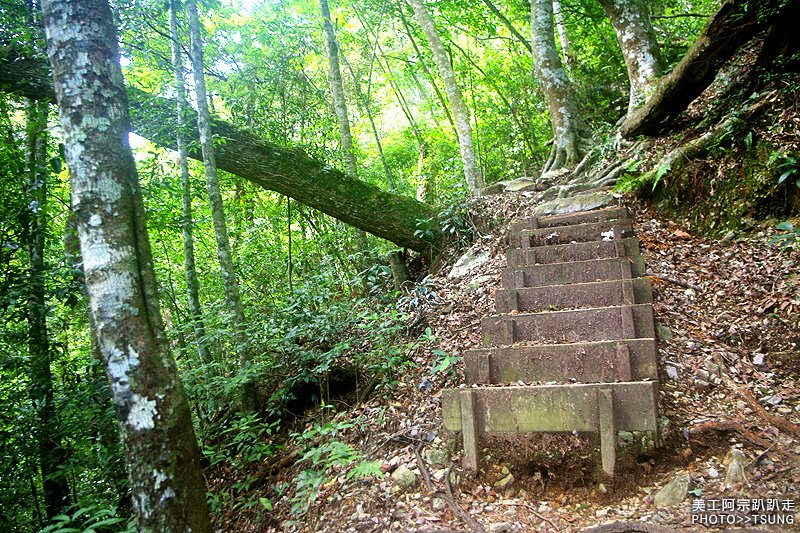 谷關八仙山