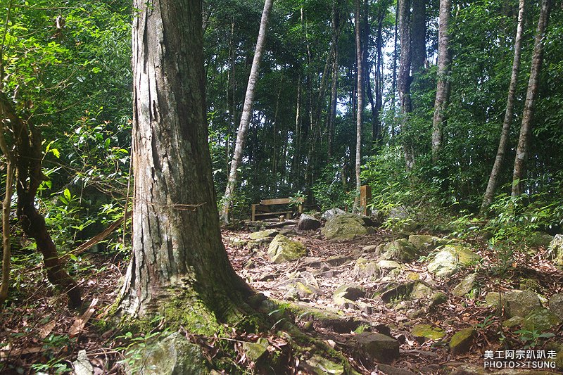 谷關八仙山