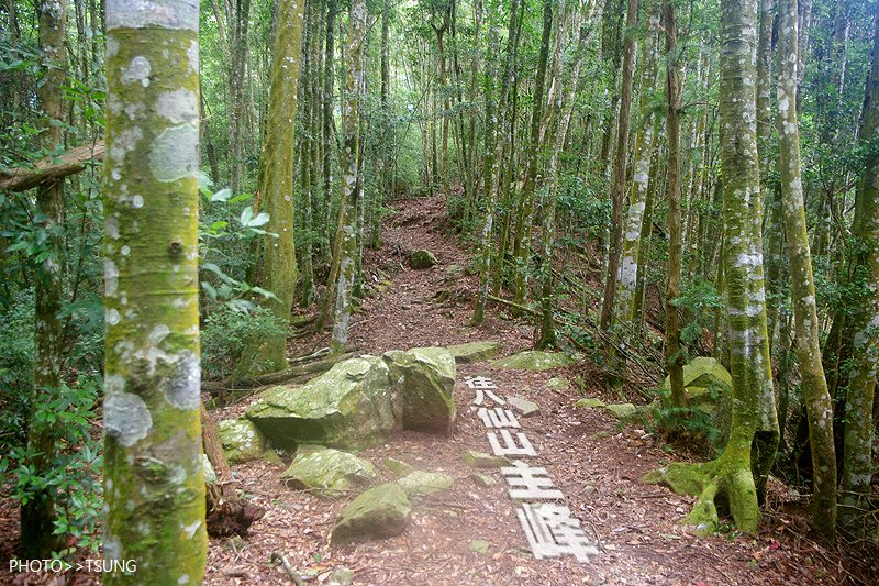 谷關八仙山