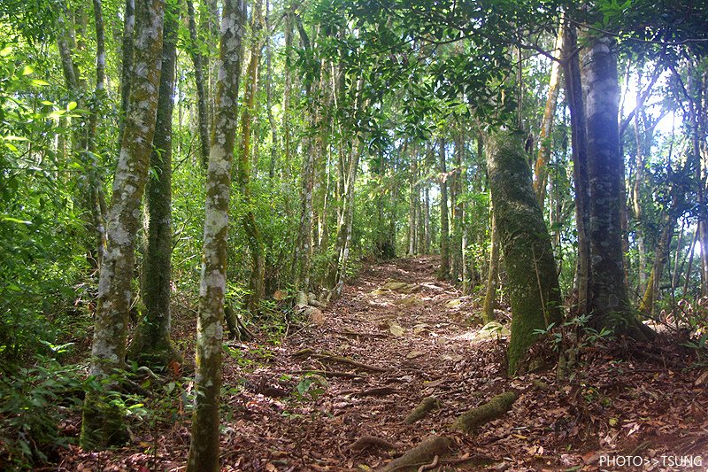 谷關八仙山