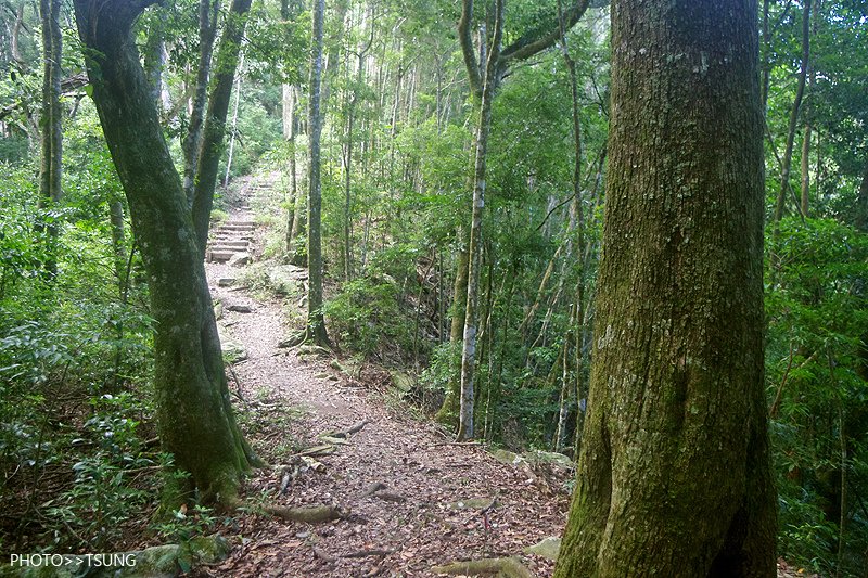 谷關八仙山